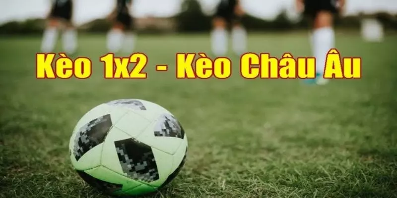 1x2 được đánh giá rằng vô cùng đơn giản trong cách vận hành