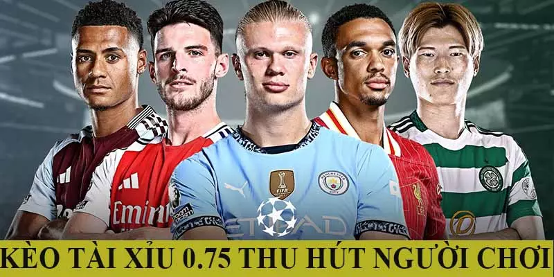 Lý do khiến kèo trở nên thu hút